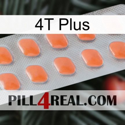 4T Plus 26